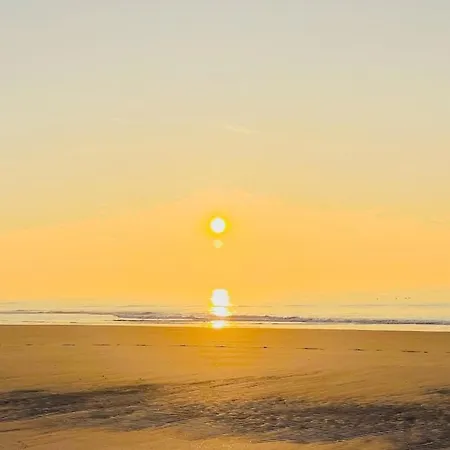 Daire Texel Atelier *