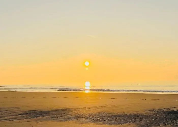 Appartement Texel Atelier *